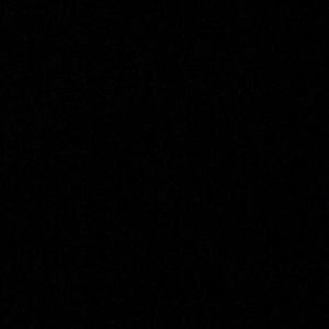 Meet your Posher, Jackelyn